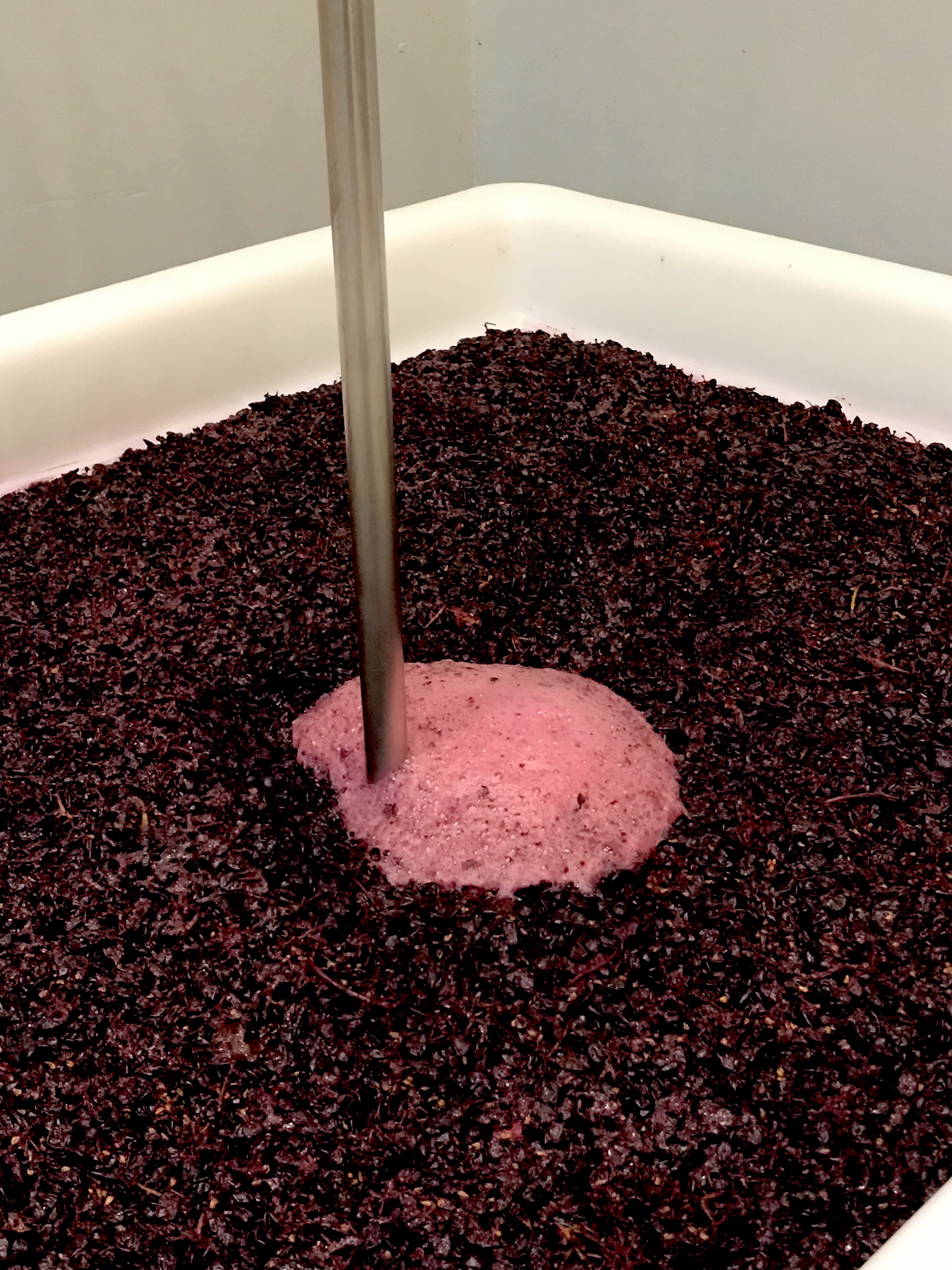 Javelina Leap fermenting wine vat